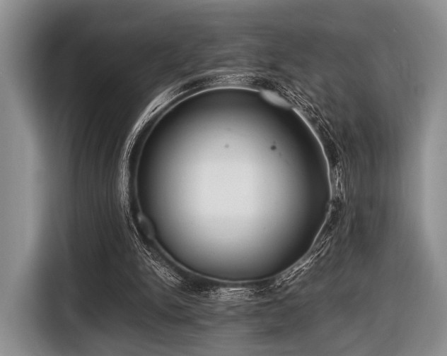 X0000116420150200912151005