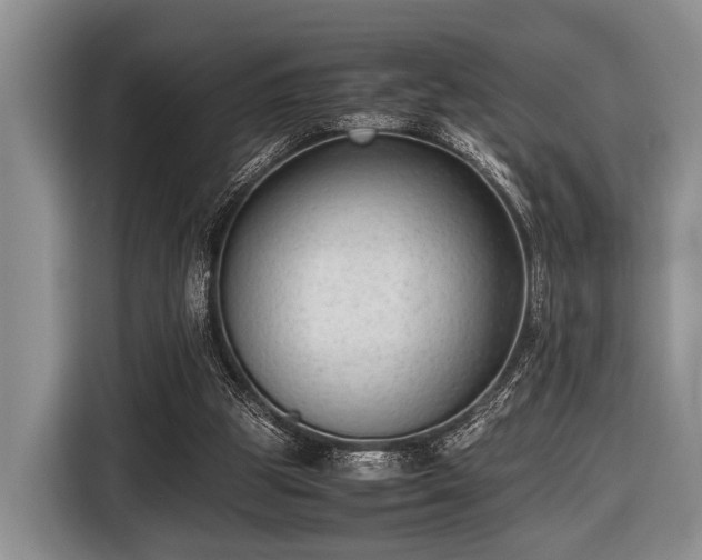 X0000116420153200912151005