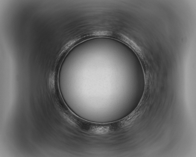 X0000116420155200912151005