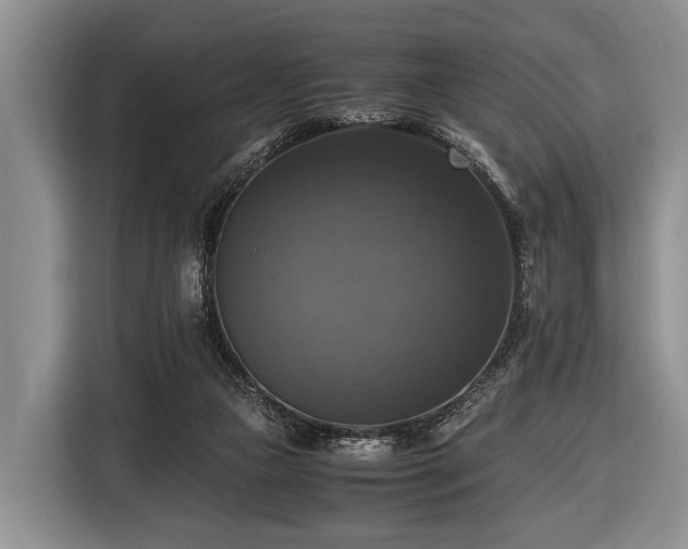 X0000116420161200912151005