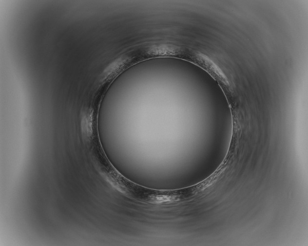 X0000116420163200912151005
