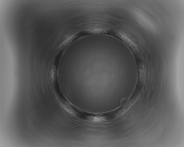 X0000116420165200912151005