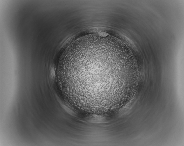 X0000116420166200912151005