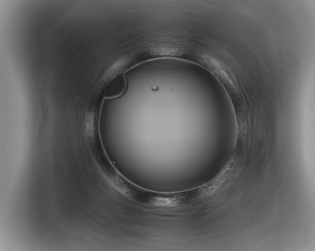 X0000116420167200912151005