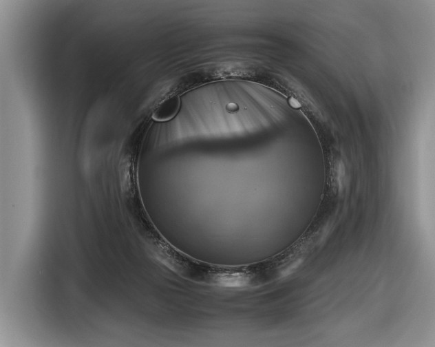 X0000116420169200912151005