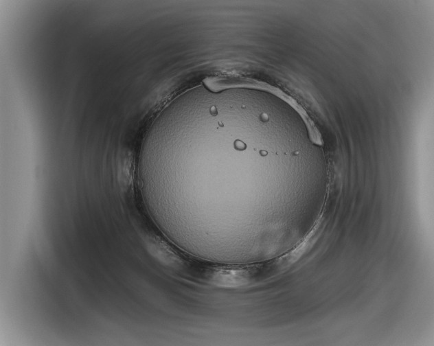 X0000116420174200912151005