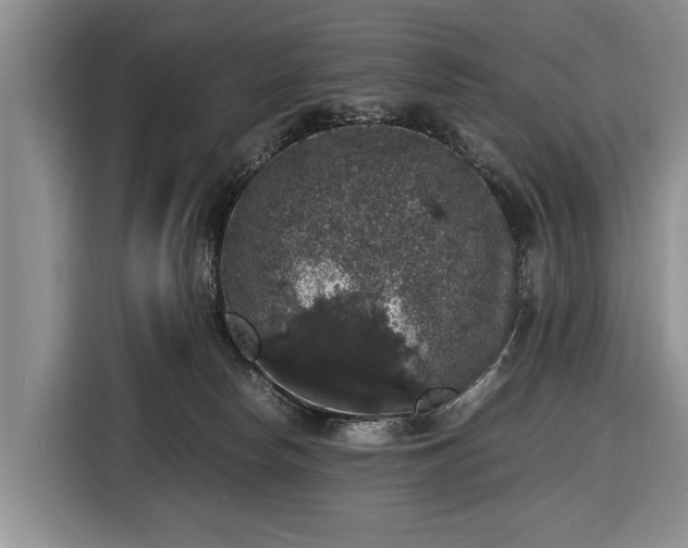 X0000116420178200912151005