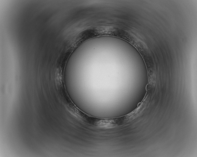 X0000116420179200912151005