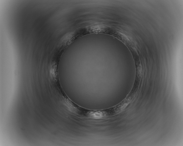 X0000116420181200912151005