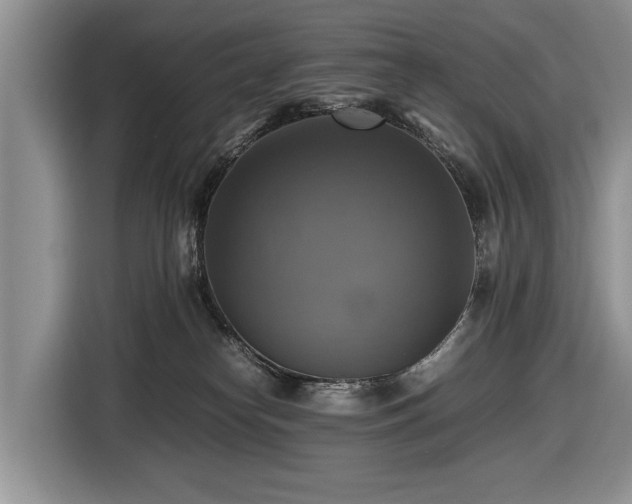 X0000116420182200912151005