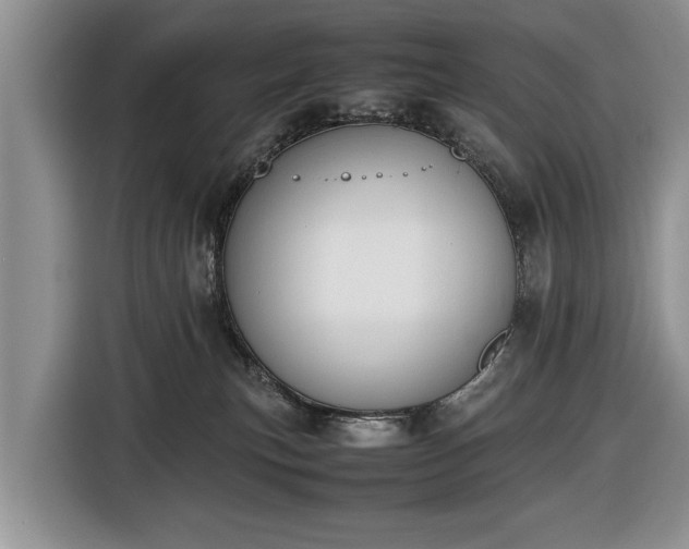 X0000116420183200912151005