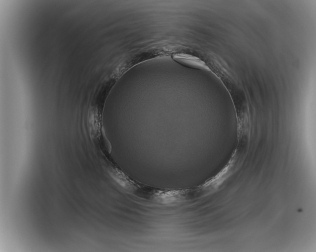X0000116420186200912151005