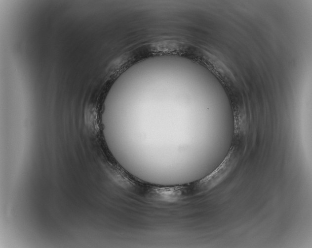 X0000116420187200912151005