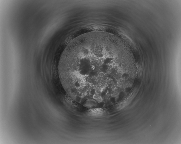 X0000116420189200912151005