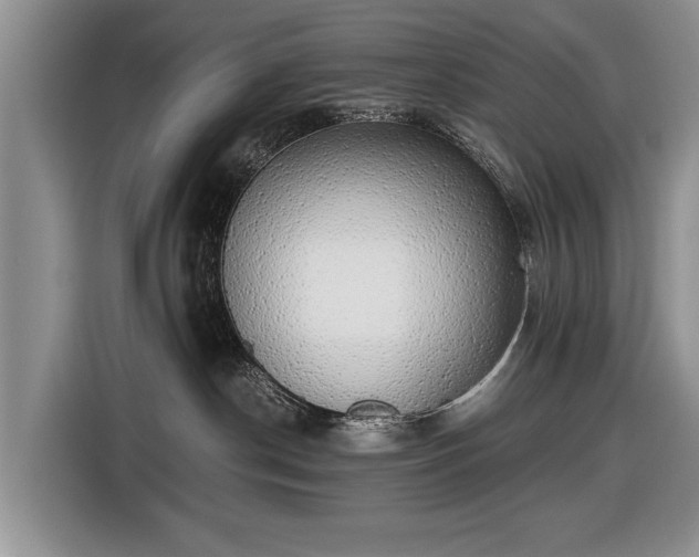 X0000116420190200912151005