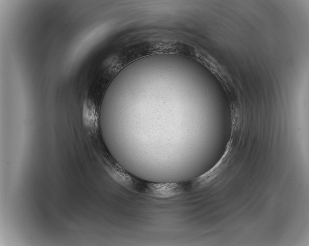 X0000116420191200912151005