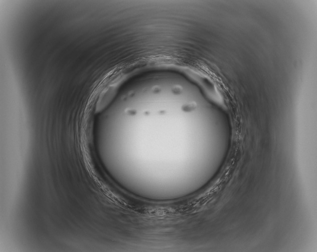 X0000116420193200912151005