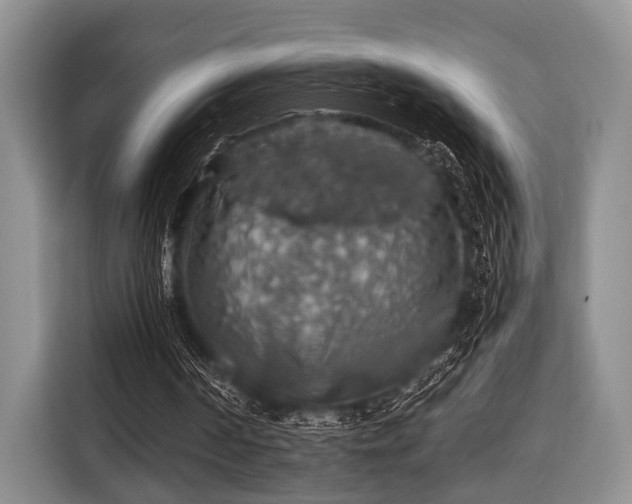 X0000116420194200912151005