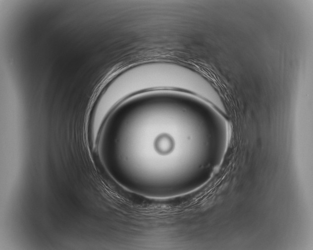 X0000116420195200912151005