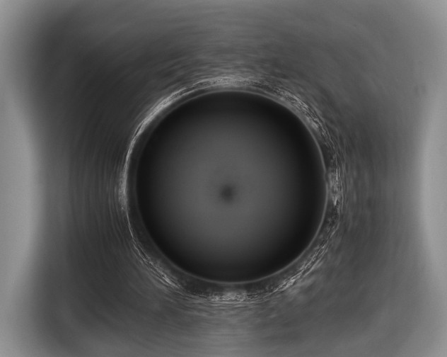 X0000116420196200912151005