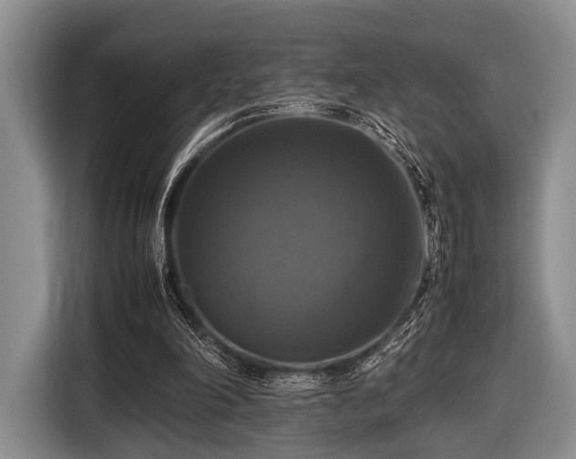 X0000116420198200912151005