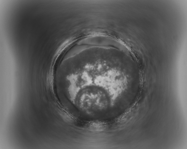 X0000116420199200912151005
