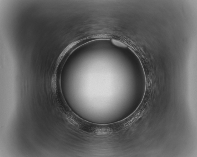 X0000116420200200912151005