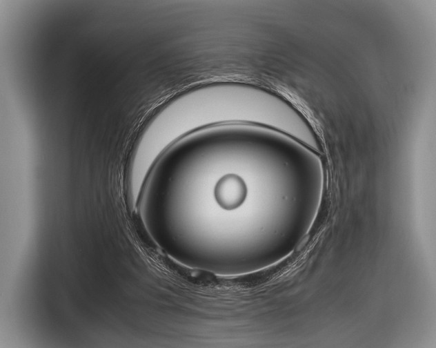 X0000116420201200912151005