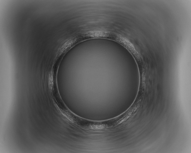 X0000116420202200912151005