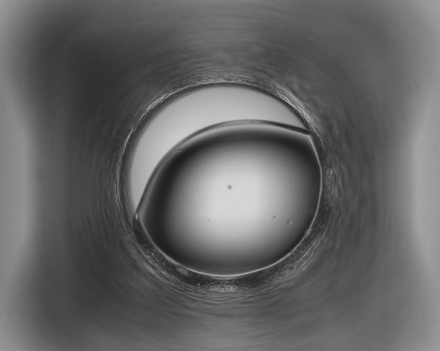 X0000116420203200912151005