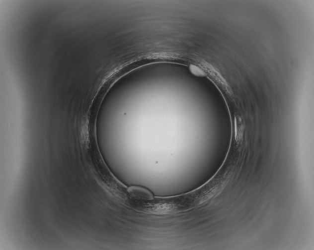 X0000116420204200912151005