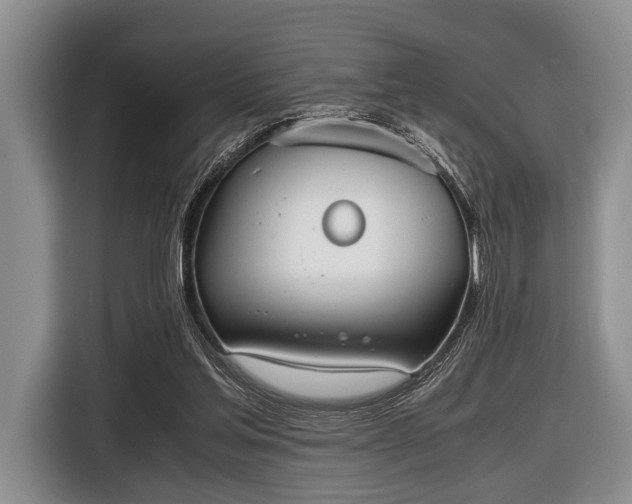 X0000116420205200912151005