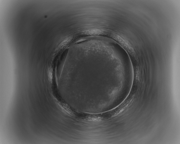 X0000116420206200912151005