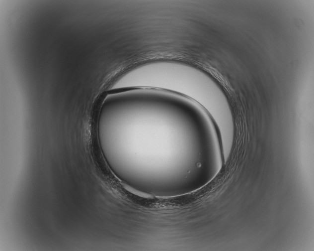 X0000116420207200912151005