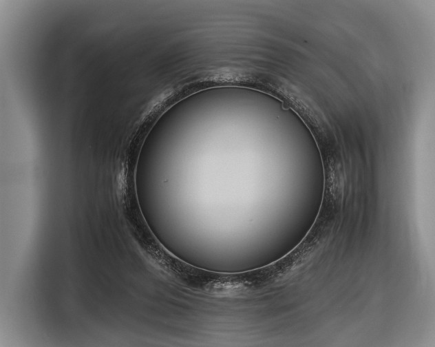 X0000116420208200912151005