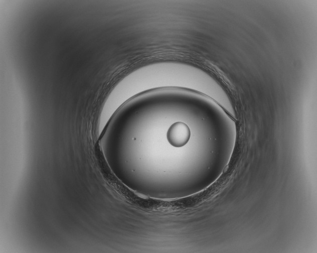 X0000116420209200912151005
