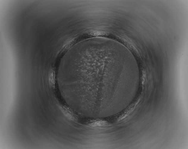 X0000116420210200912151005