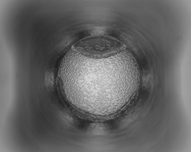 X0000116420211200912151005