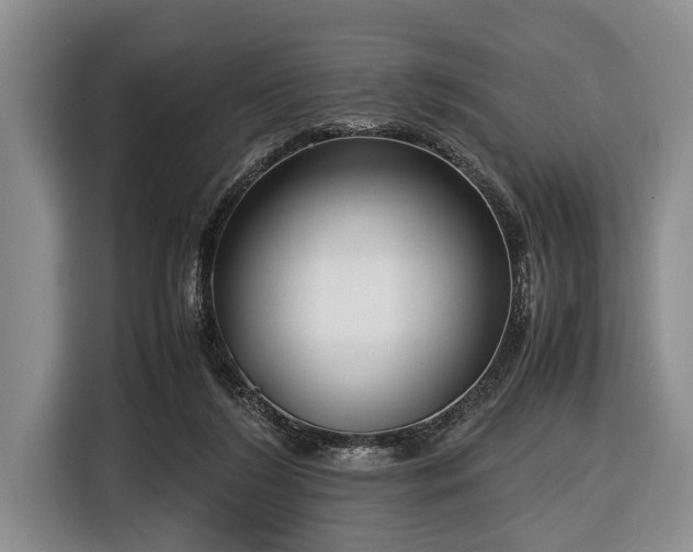 X0000116420212200912151005