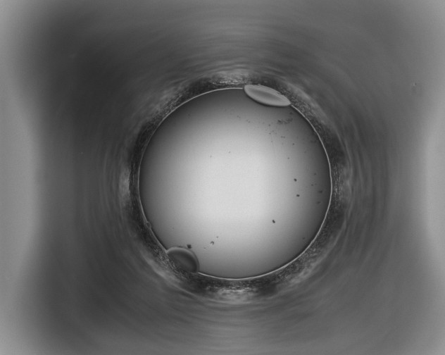 X0000116420213200912151005