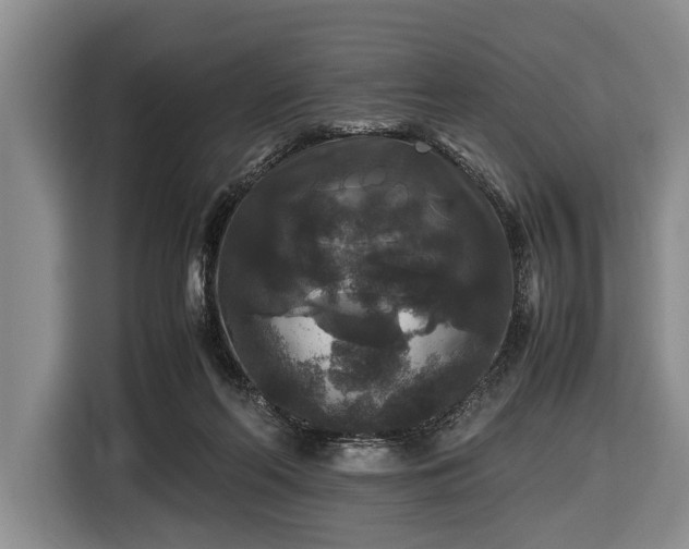 X0000116420214200912151005