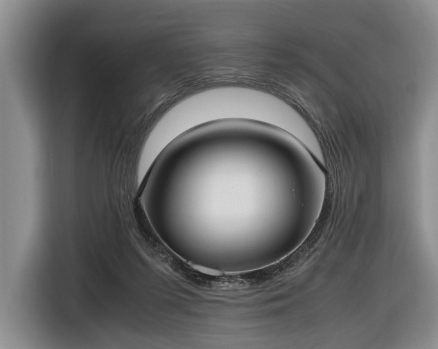 X0000116420215200912151005