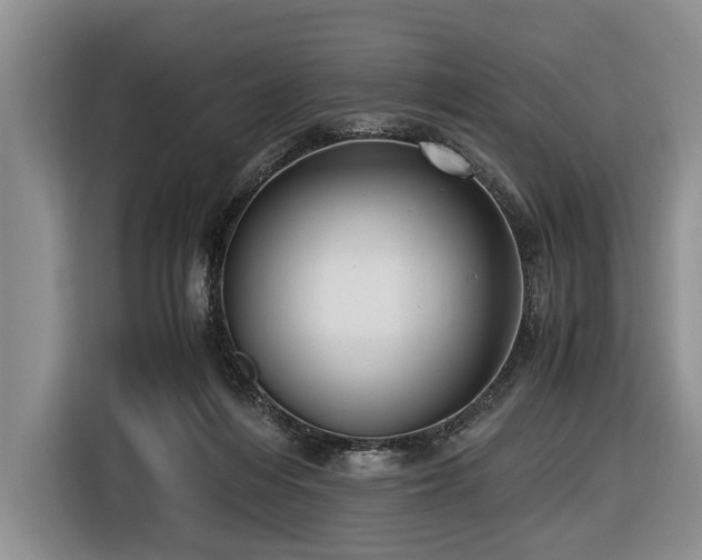 X0000116420216200912151005