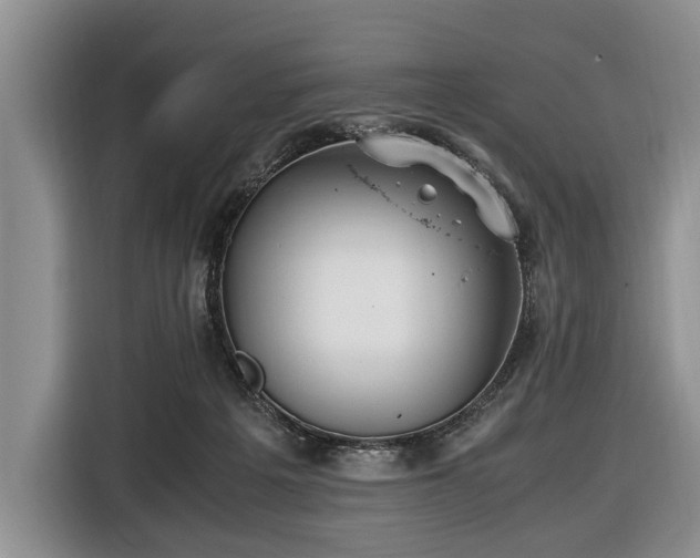 X0000116420217200912151005