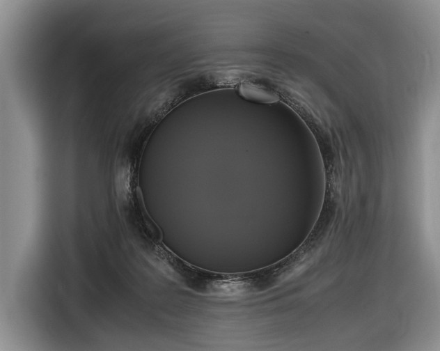 X0000116420219200912151005