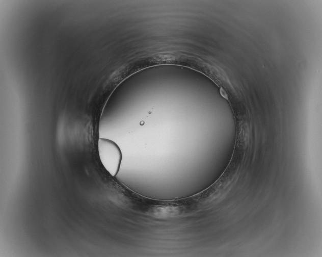X0000116420220200912151005