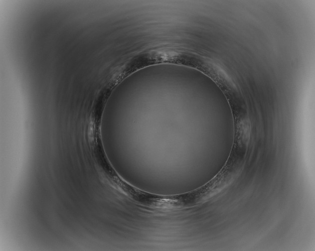 X0000116420222200912151004