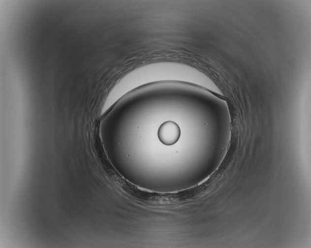 X0000116420223200912151004