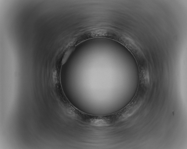 X0000116420224200912151004