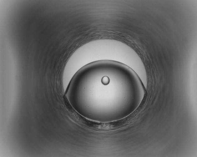 X0000116420225200912151004